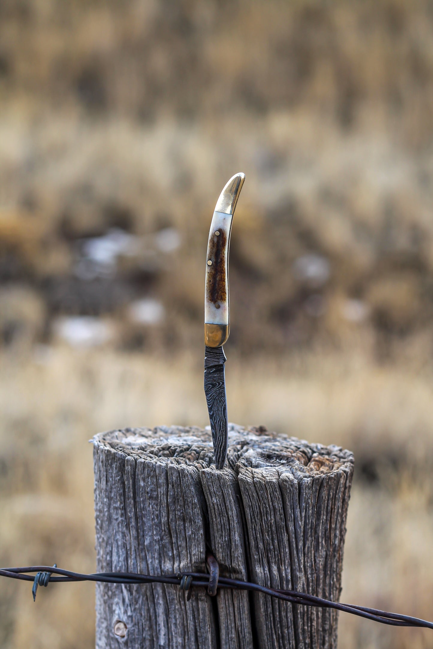 Companion Pocket Knife