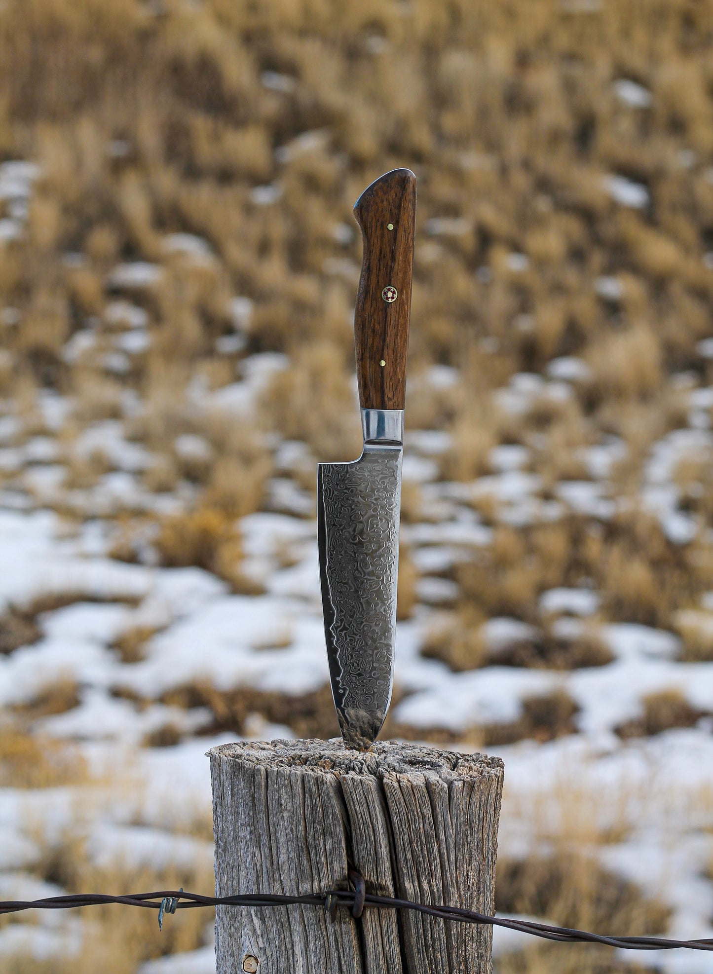 Santoku Chef's Knife